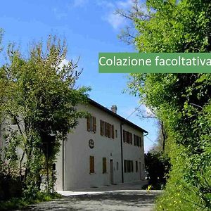 B&B-Country House-Appartamenti Ai Cipressi